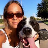 Reagan Sunglasses in Tortoise